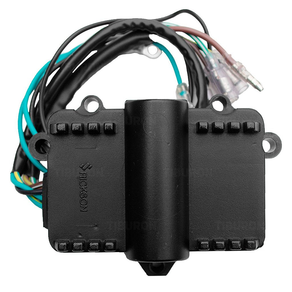 Caja Negra CDI Fuera de Borda Mercury Marine 6-9.9-15-25 HP 98+