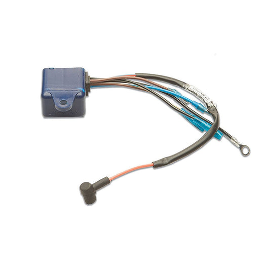 Caja Negra Cdi Motor Johnson Evinrude 1 Cil 2-3.5 HP