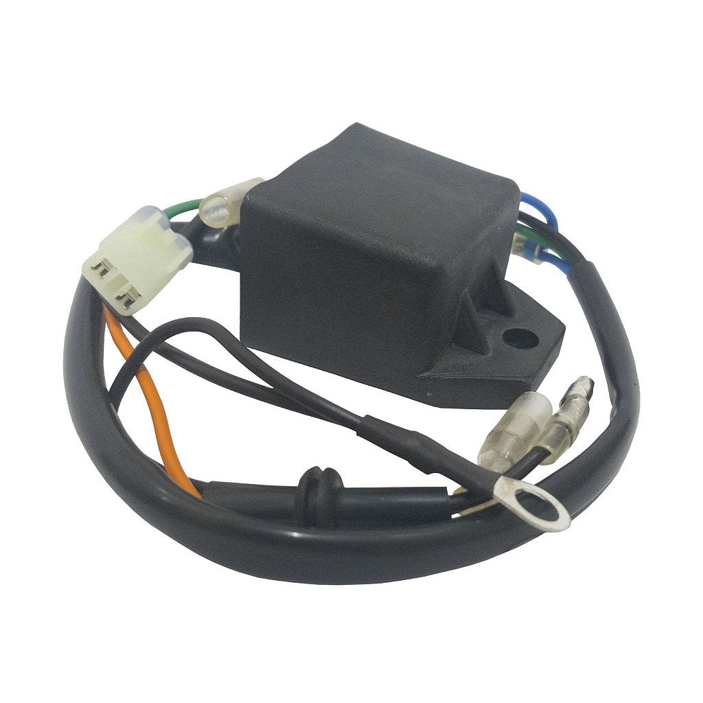 Caja Negra CDI P/ Motor Fuera de Borda Suzuki 15 HP Sem Bobina