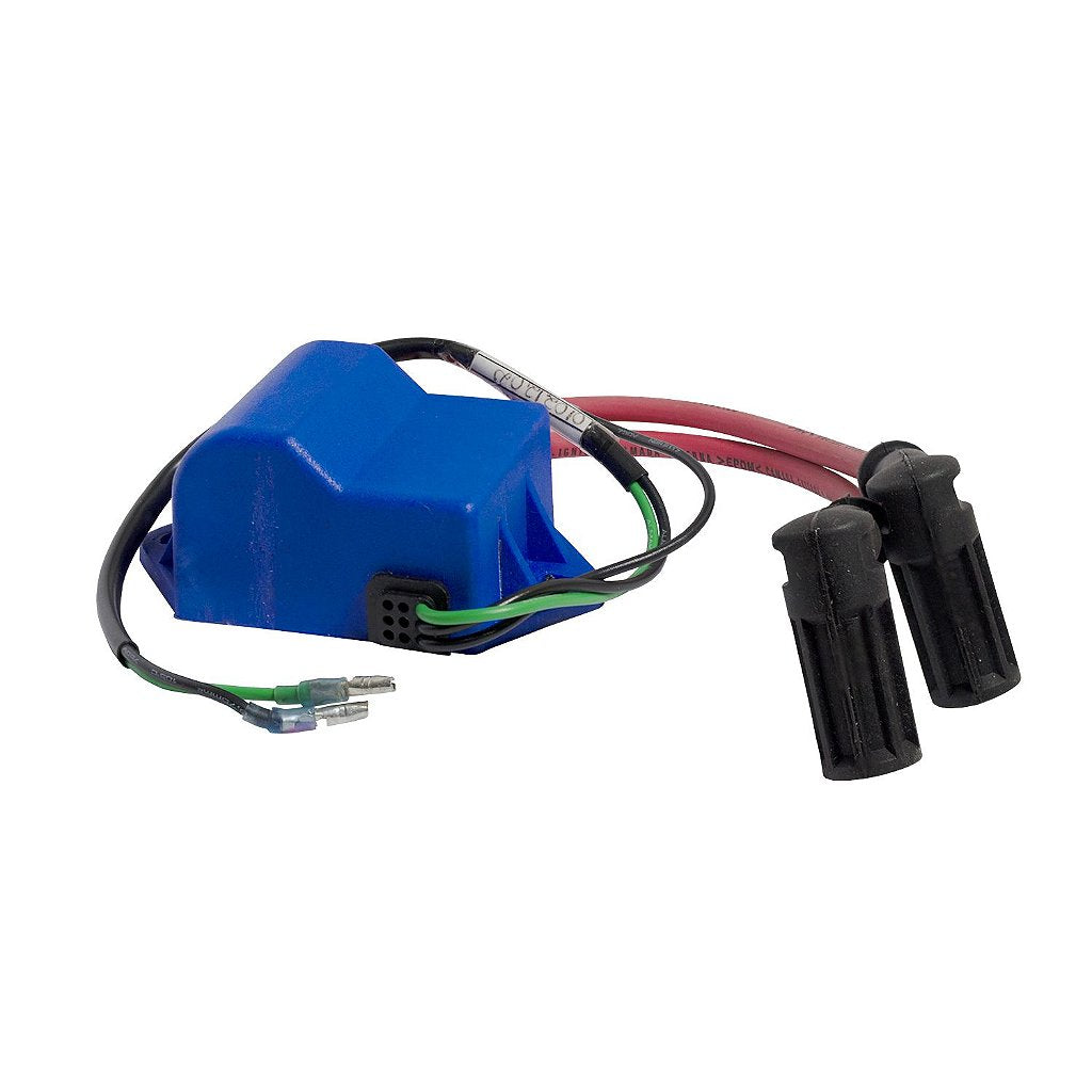 Caja Negra CDI Motor Fuera de Borda Suzuki 9.9-16 HP 2 Cil