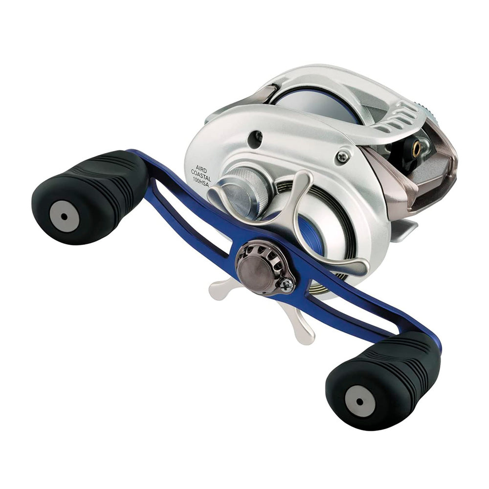 Reel Rotativo Daiwa Aird Coastal 100 HSA / HSLA Huevito 10 Rulemanes Agua Salada