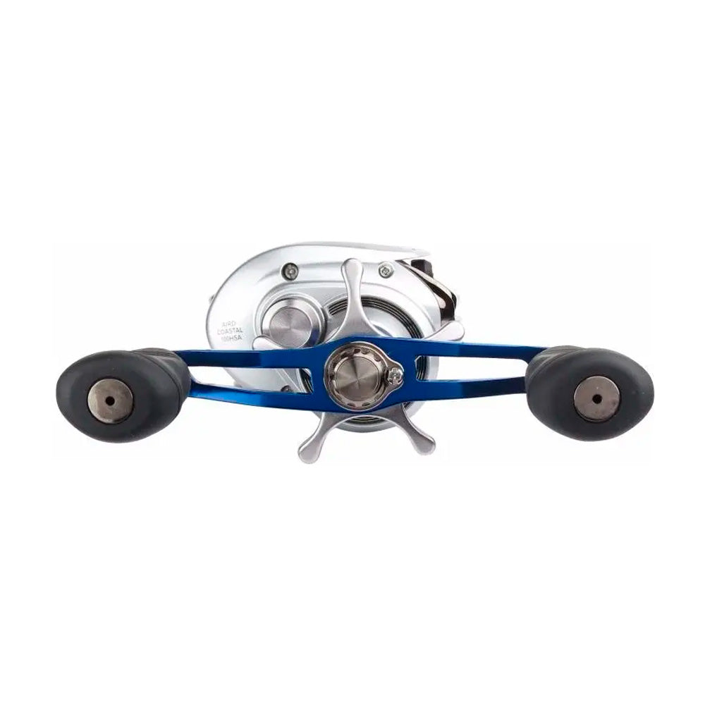 Reel Rotativo Daiwa Aird Coastal 100 HSA / HSLA Huevito 10 Rulemanes Agua Salada
